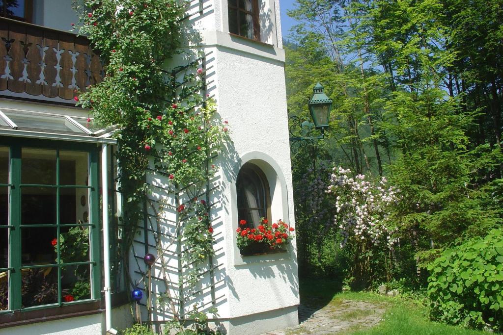 Waldpension Goschlseben Grünau im Almtal Exterior foto